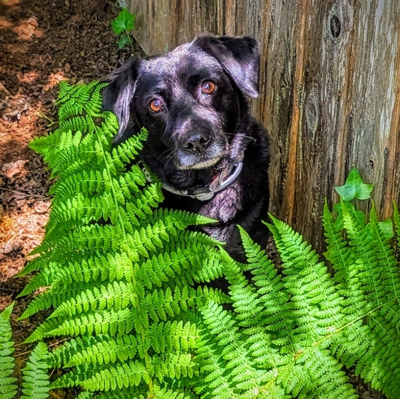 Meet your Posher, Whitney - Picture 2 of 4